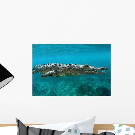American Crocodile Crocodylus Acutus Wall Decal Design 3