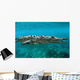 American Crocodile Crocodylus Acutus Wall Decal Design 3