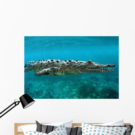 American Crocodile Crocodylus Acutus Wall Decal Design 3