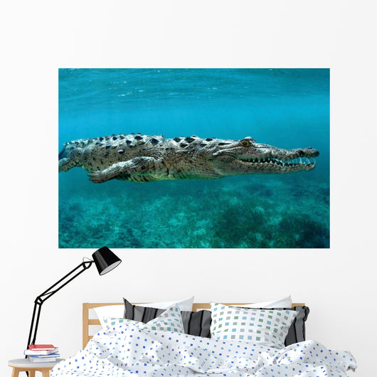 American Crocodile Crocodylus Acutus Wall Decal Design 3
