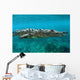 American Crocodile Crocodylus Acutus Wall Decal Design 3