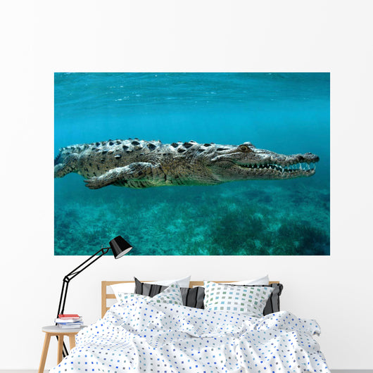 American Crocodile Crocodylus Acutus Wall Decal Design 3