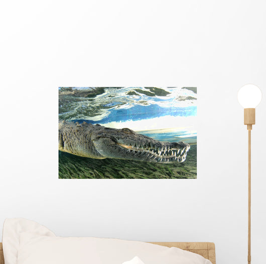 American Crocodile Crocodylus Acutus Wall Decal Design 2