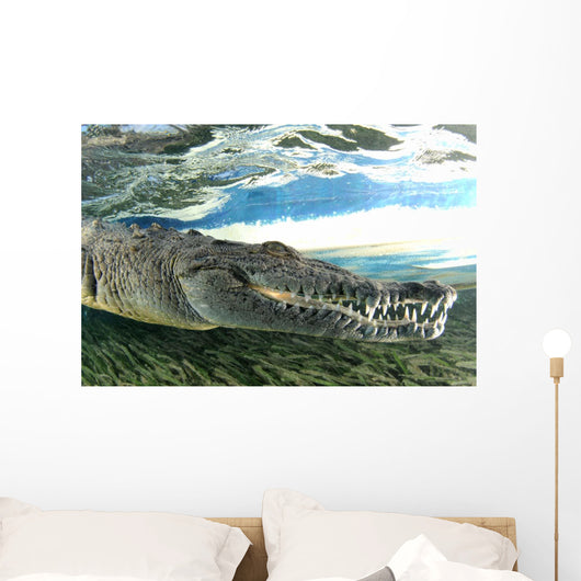 American Crocodile Crocodylus Acutus Wall Decal Design 2