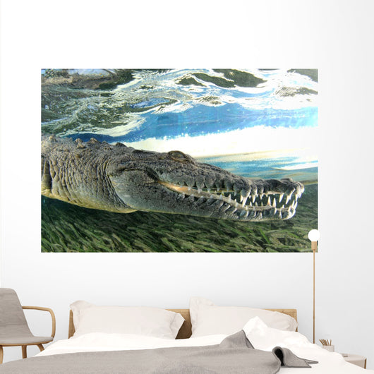 American Crocodile Crocodylus Acutus Wall Decal Design 2