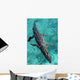 American Crocodile Crocodylus Acutus Wall Decal Design 1