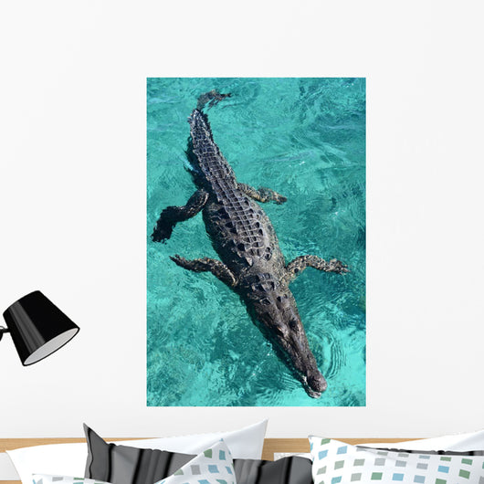 American Crocodile Crocodylus Acutus Wall Decal Design 1