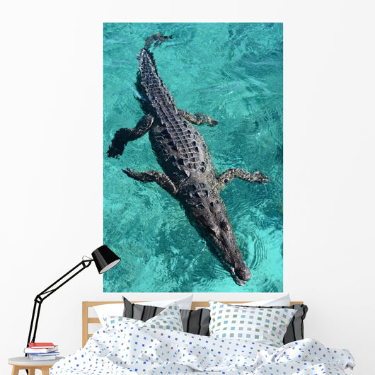 American Crocodile Crocodylus Acutus Wall Decal Design 1