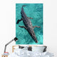 American Crocodile Crocodylus Acutus Wall Decal Design 1