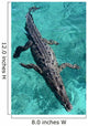 American Crocodile Crocodylus Acutus Wall Decal Design 1