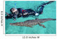American Crocodile and Diver Wall Decal Design 2