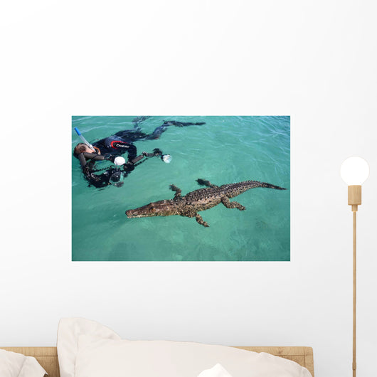American Crocodile and Diver Wall Decal Design 1