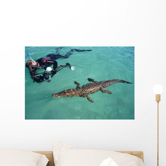 American Crocodile and Diver Wall Decal Design 1