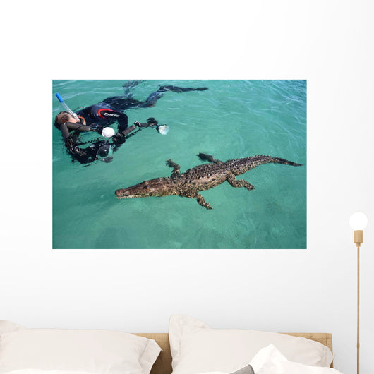 American Crocodile and Diver Wall Decal Design 1