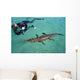 American Crocodile and Diver Wall Decal Design 1