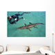 American Crocodile and Diver Wall Decal Design 1