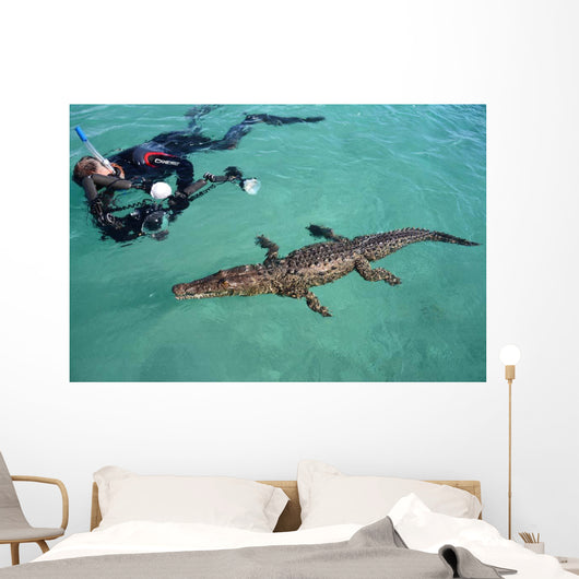 American Crocodile and Diver Wall Decal Design 1