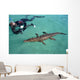 American Crocodile and Diver Wall Decal Design 1
