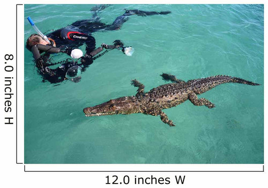 American Crocodile and Diver Wall Decal Design 1