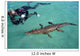 American Crocodile and Diver Wall Decal Design 1