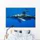 Pilot Fish Swimming with Wall Decal Design 1