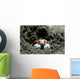 Tiny Boxer Crab Lybia Wall Decal Design 2