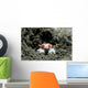 Tiny Boxer Crab Lybia Wall Decal Design 2