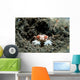Tiny Boxer Crab Lybia Wall Decal Design 2