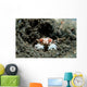 Tiny Boxer Crab Lybia Wall Decal Design 2
