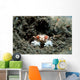 Tiny Boxer Crab Lybia Wall Decal Design 2