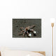 Tiny Boxer Crab Lybia Wall Decal Design 1