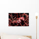 Pygmy Seahorse Hippocampus Bargibanti Wall Decal