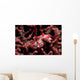 Pygmy Seahorse Hippocampus Bargibanti Wall Decal
