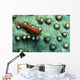 Goby Coral Tulamben Bali Wall Decal