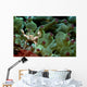 Anemone Crab Tulamben Bali Wall Decal