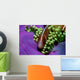 Anemonefish Green Sea Anemone Wall Decal