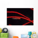 Goby Red Coral Tulamben Wall Decal