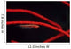 Goby Red Coral Tulamben Wall Decal