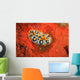Nudibranch Chromodoris Sp Wall Decal Design 2