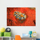 Nudibranch Chromodoris Sp Wall Decal Design 2