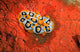 Nudibranch Chromodoris Sp Wall Decal Design 2
