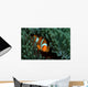 Clownfish Anemone Tulamben Bali Wall Decal