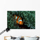 Clownfish Anemone Tulamben Bali Wall Decal