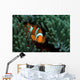 Clownfish Anemone Tulamben Bali Wall Decal
