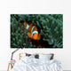 Clownfish Anemone Tulamben Bali Wall Decal