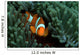 Clownfish Anemone Tulamben Bali Wall Decal