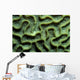 Coral Pattern Tulamben Bali Wall Decal