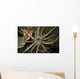 Sun Anemone Tulamben Bali Wall Decal