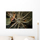 Sun Anemone Tulamben Bali Wall Decal