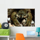 Stone Crayfish Kalkalpen National Wall Decal
